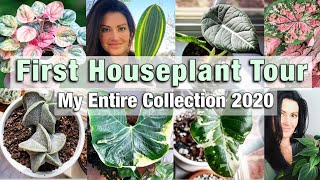 My First Houseplant Tour  Entire Plant Collection 2020  Plant Tour 100 Houseplants  HD [upl. by Ardnuat]