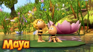 MAYA y WILLY SE VAN DE EXCURSIÓN🌞🐝🌿 MEJORES CAPÍTULOS DE MAYA para niños en ESPAÑOL 🐝 [upl. by Reginauld]