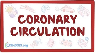 Coronary circulation  an Osmosis Preview [upl. by Adamsen]