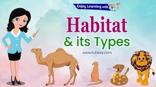 Animals and their Habitats  Habitat of Animals  Animal Habitats  Animal Homes  Science [upl. by Htnnek]