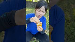 Survival Skills SIMPLE and USEFUL bushcraft camping outdoor jelly [upl. by Onifur31]