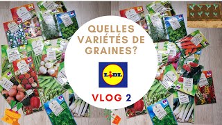 Graines Lidl quelles variétés Vlog 2 [upl. by Schram]