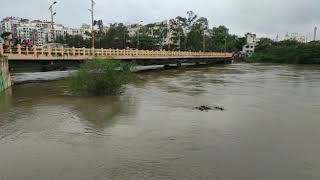 Bridge near dhaneshwar mandir chinchwad gaon flooded  Pune Floods  Latest News [upl. by Aneled]