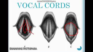 An Introduction to Phonetics Part II ORGANS OF SPEECH  Shanavas Pattupara [upl. by Odetta]