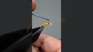 The Ultimate Guide to Tying Scud amp Grub Flies flytying shorts scuds [upl. by Jose]