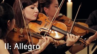 GPh Telemann Concerto in A major for Flute Violin and Cello II Allegro TWV 53A2 [upl. by Neelyk498]