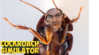 Cockroach Simulator [upl. by Siramaj]