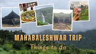 Mahabaleshwar Hill Station Trip  2 Day Travel Plan 2024  Tourist places to visit  Panchgani [upl. by Luckett]