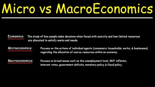 Microeconomics vs Macroeconomics [upl. by Lochner]