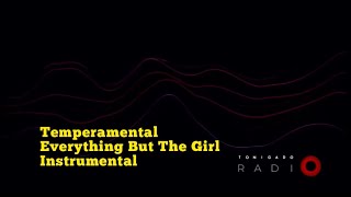 TEMPERAMENTAL EVERYTHING BUT THE GIRL INSTRUMENTAL [upl. by Inafit]