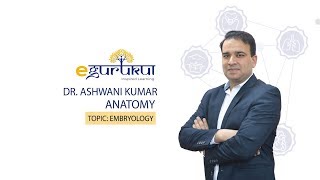 Embryology  Anatomy by Dr Ashwani Kumar  Dr Bhatia videos  DBMCI [upl. by Windham]