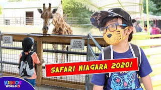 Safari Niagara Zoo Full Tour 2020 [upl. by Lewan]