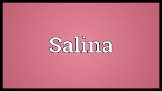 Salina Meaning [upl. by Rafter]