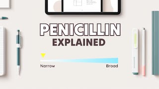 Penicillins Explained From Narrow to Broad Spectrum [upl. by Eidualc571]