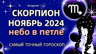 ♏СКОРПИОН  💫НОЯБРЬ 2024 ГОРОСКОП Астролог Olga olgaastrology ноябрь петлямарса [upl. by Moss562]