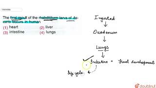 The final moult of the rhabditiform larva of Ascaris occurs in human [upl. by Ellehcir]