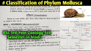 Classification of Phylum Mollusca in Hindi  BSc 3rd year Zoology 5th Semester [upl. by Poulter]