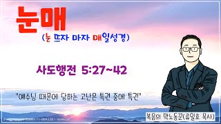 매일성경큐티 2024년 5월 11일토 사도행전 52742 [upl. by Dwayne49]