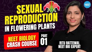 Sexual Reproduction in Flowering Plants  NEET Crash Course 2024  Demo 1  Biology  Ritu Rattewal [upl. by Inan986]