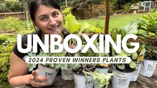 Unboxing New 20232024 Proven Winners Perennials from Walters Gardens [upl. by Llain]