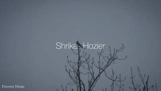 Shrike Hozier Lyrics [upl. by Zebapda386]