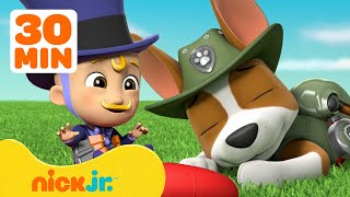 PAW Patrol Pups Have Weird Dreams w Baby Humdinger amp Tracker  30 Minute Compilation  Nick Jr [upl. by Stempson]