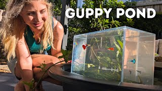 DIY Guppy Pond Setup with Aquarium Highrise [upl. by Etnaled]