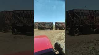 44 bruto canadeacucar mercedesbenz agricultura viralvideo viralshorts [upl. by Reine]