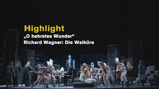 Richard Wagner DIE WALKÜRE quotO hehrstes Wunderquot Highlights [upl. by Deeyn]