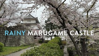 4k ASMR  Light Rainfall Walk in Marugame Castle Japan  Binaural Rain Sounds for Sleep amp Study [upl. by Lipp116]