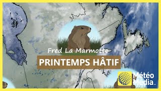 Le verdict de Fred la marmotte est tombé [upl. by Fia162]