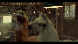 Amazon  Llamacita Christmas Ad [upl. by Anierdna]