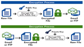 File Encryption and Decryption with Python [upl. by Eegnat821]