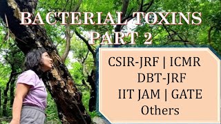 Bacterial Exotoxins part 2  CSIR UGCJRF  GATE  ICMR  DBT  IIT JAM  Life sciences [upl. by Hillari]