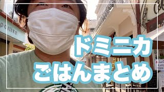 【ドミニカサマーリーグ】ドミニカ共和国のご飯まとめ【観光VLOG】 [upl. by Tavi758]