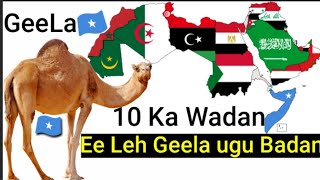 10 Ka Wadan ee Ugu Geela Badan Aduunka [upl. by Yssis]