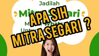 APA ITU MITRA SEGARI segaricarajadimitrasegaribisnisonline [upl. by Eenel]