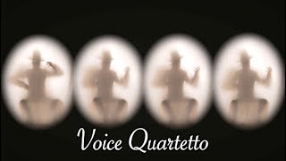 Voice Quartetto  Daichi [upl. by Oirramaj]