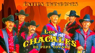 Los Chacales de PepeTovar Mix 2024  Los Grandes Éxitos  Puros Corridos Norteños [upl. by Nyleikcaj]