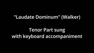 quotLaudate Laudate Dominumquot Tenor Part with Accompaniment [upl. by Hett]