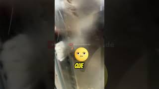 Este chico se quedó encerrado en el balcón de su casa y pasó esto [upl. by Tome521]