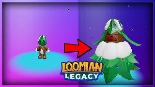 HOW TO EVOLVE CHRISTMAS CRAYTAL INTO FESTIFIR IN LOOMIAN LEGACY [upl. by Asseram]