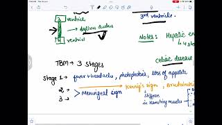 Tubercular meningitis  what it is Pathogenesis stagestypesdiagnosistreatment all in one video [upl. by Naujahs473]