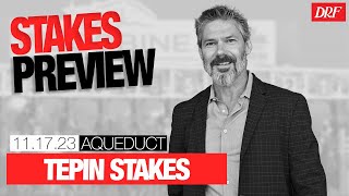 Tepin Stakes Preview  November 17 2023 [upl. by Boelter]