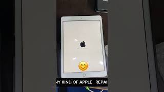 IPAD A2197 7th Gen Error 4013✅ shorts applefix iphonefix shortsfeed trending apple [upl. by Cassi]