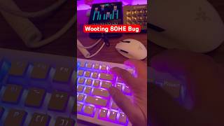 The Wooting 80HE Has A Bug wooting gaming gamingkeyboard [upl. by Anrat]