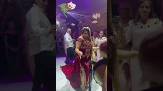 mariagealgerien mariaged اعراسجزائرية mariagemarocain follow [upl. by Bordy770]