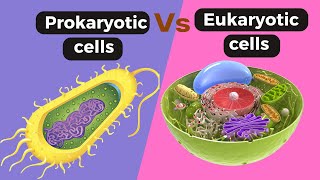 Prokaryotic cell Vs Eukaryotic cells Difference between prokaryotic and eukaryotic cell [upl. by Ivo]