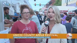 Daytime Live at the Unicoi County Apple Festival [upl. by Aniretac170]