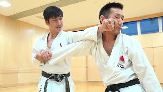 Awesome Kata Bunkai by Naka Shihan from JKA [upl. by Kaylee348]